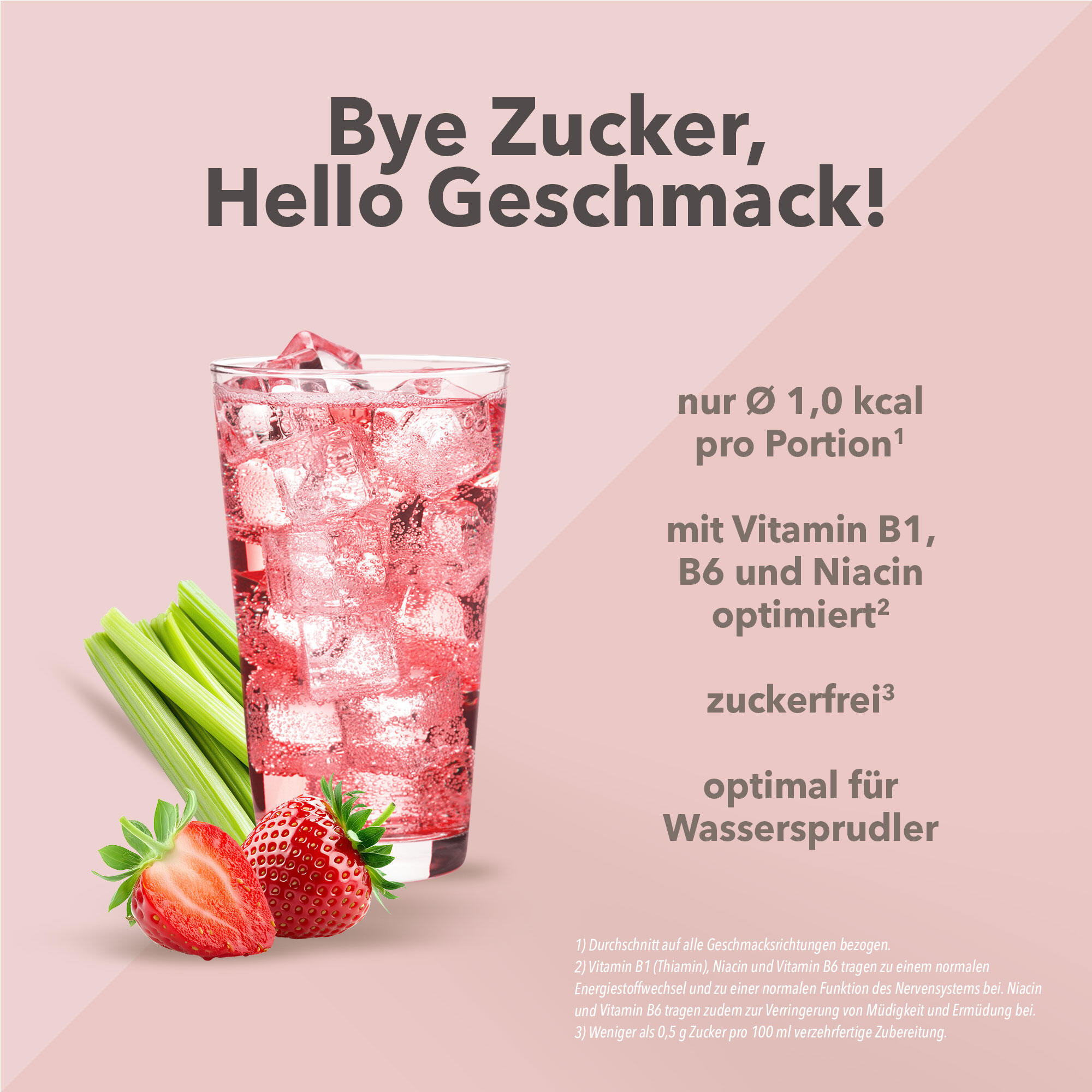 Vital Drink Zerop - Erdbeere Rhabarber - 1000 ml Flasche 2/5