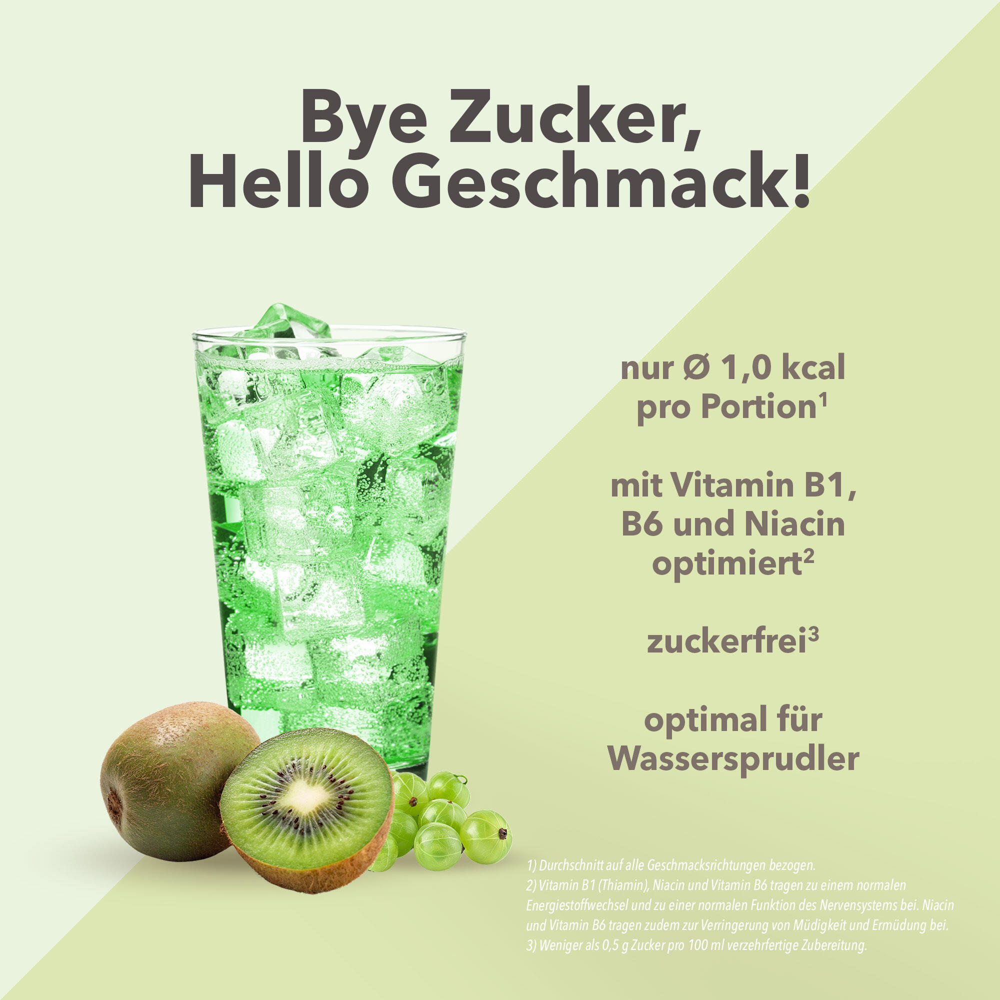 Vital Drink Zerop - Kiwi Stachelbeere - 1000 ml Flasche 2/4