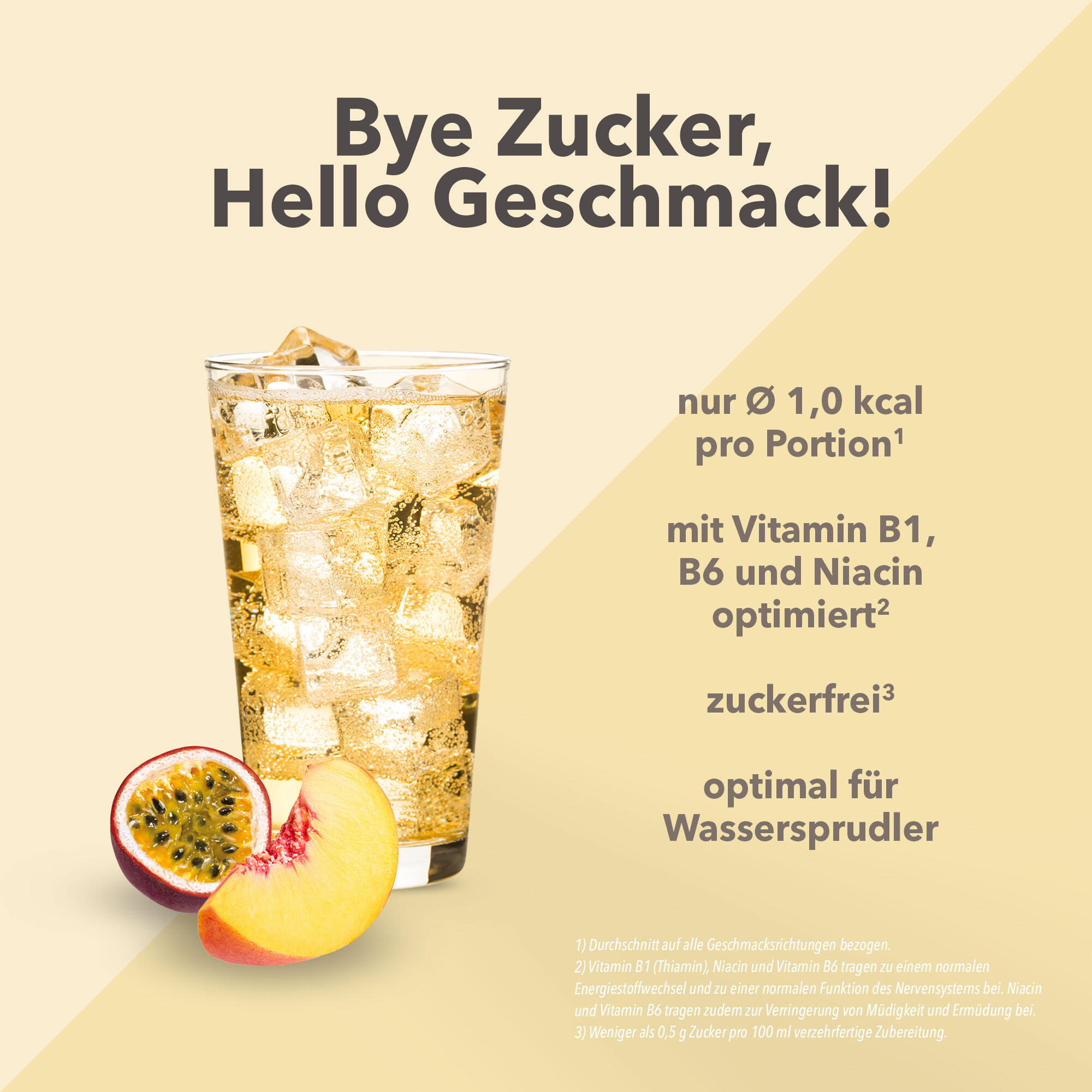 Vital Drink Zerop - Pfirsich Maracuja - 1000 ml Flasche 2/4