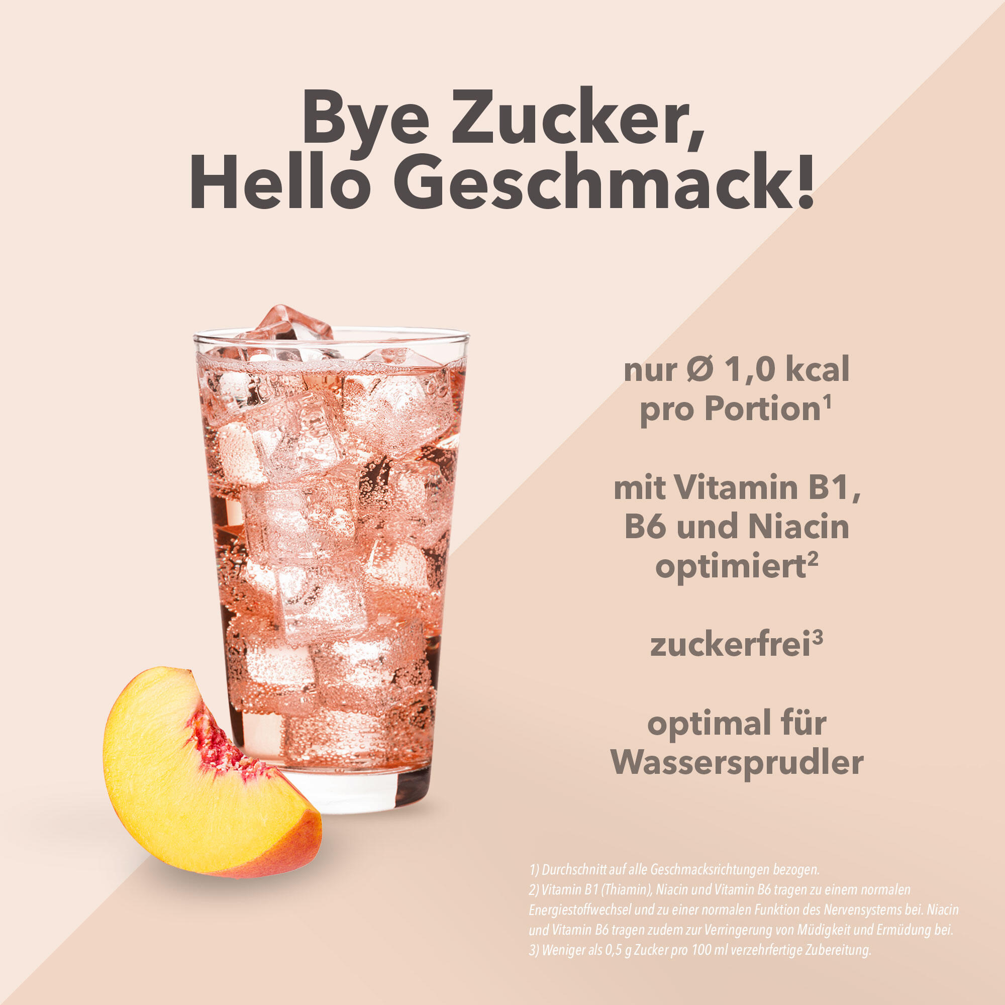 Vital Drink Zerop - Eistee Pfirsich - 1000 ml Flasche 2/4