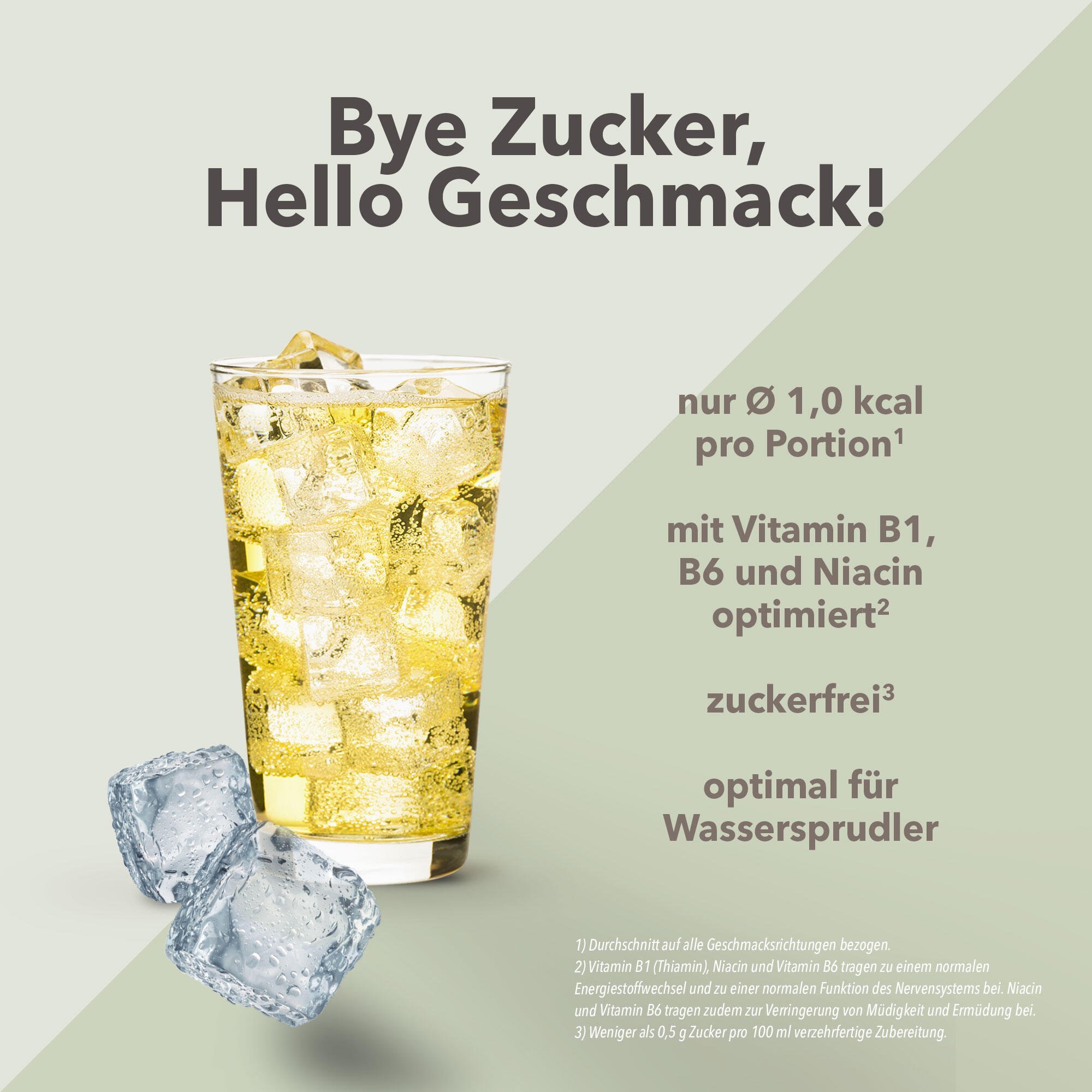 Vital Drink Zerop - Ginger Ale - 1000 ml Flasche 2/4