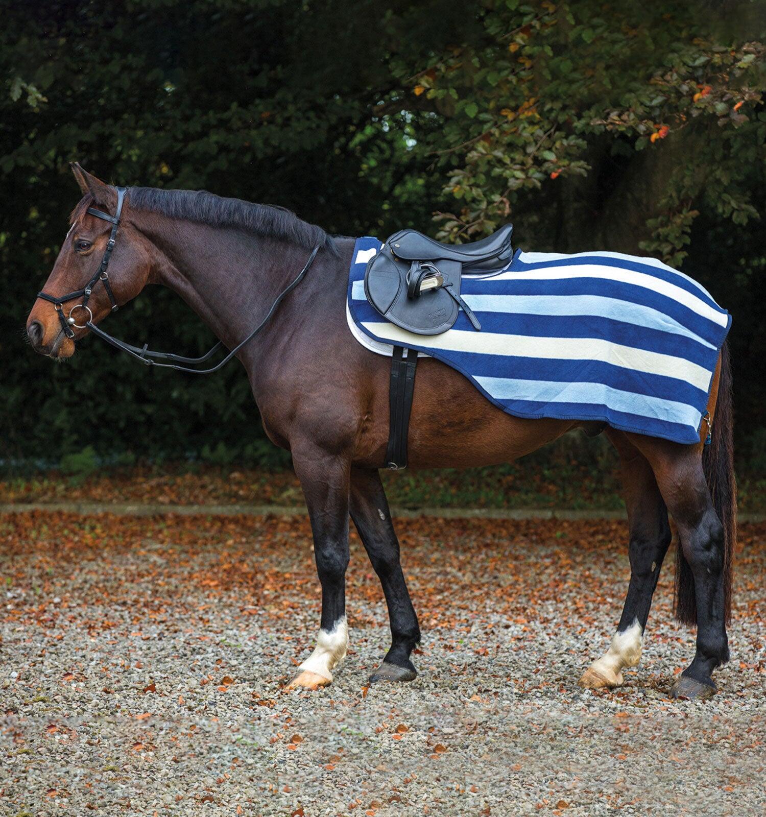 HORSEWARE IRELAND picture