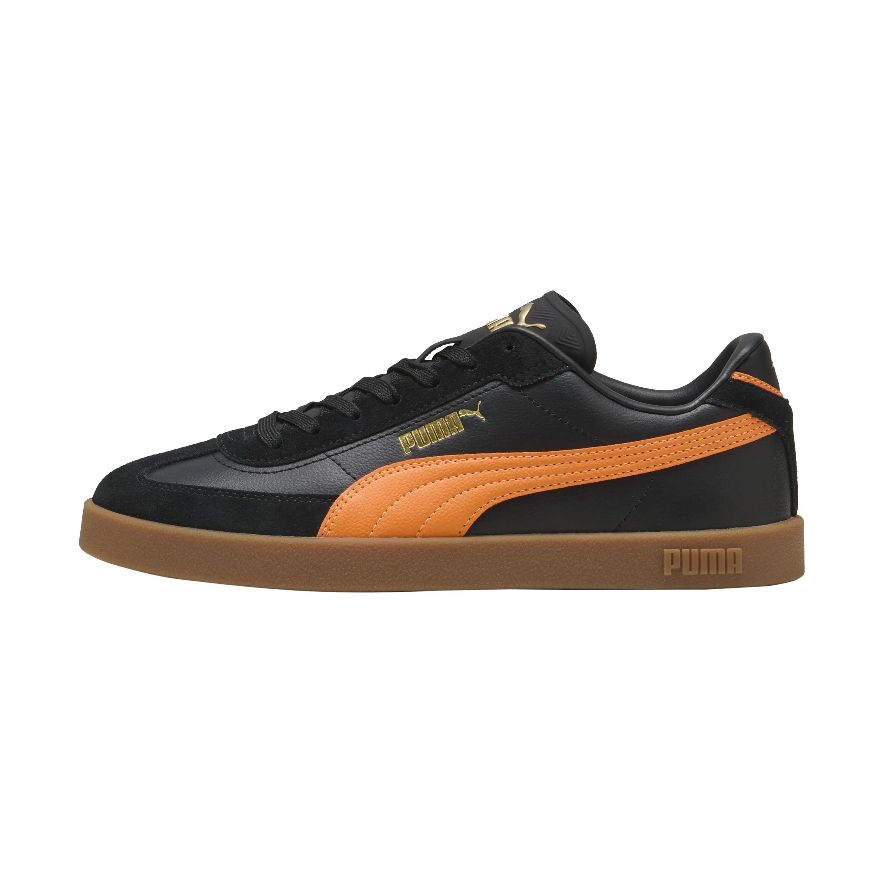 PUMA picture