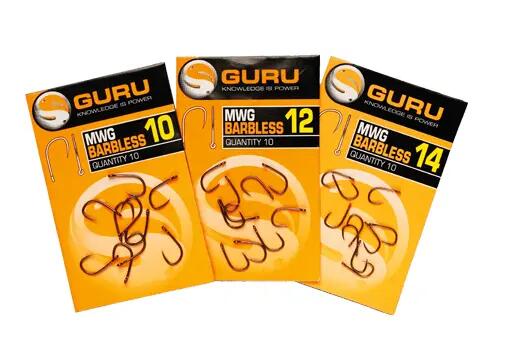 GURU picture