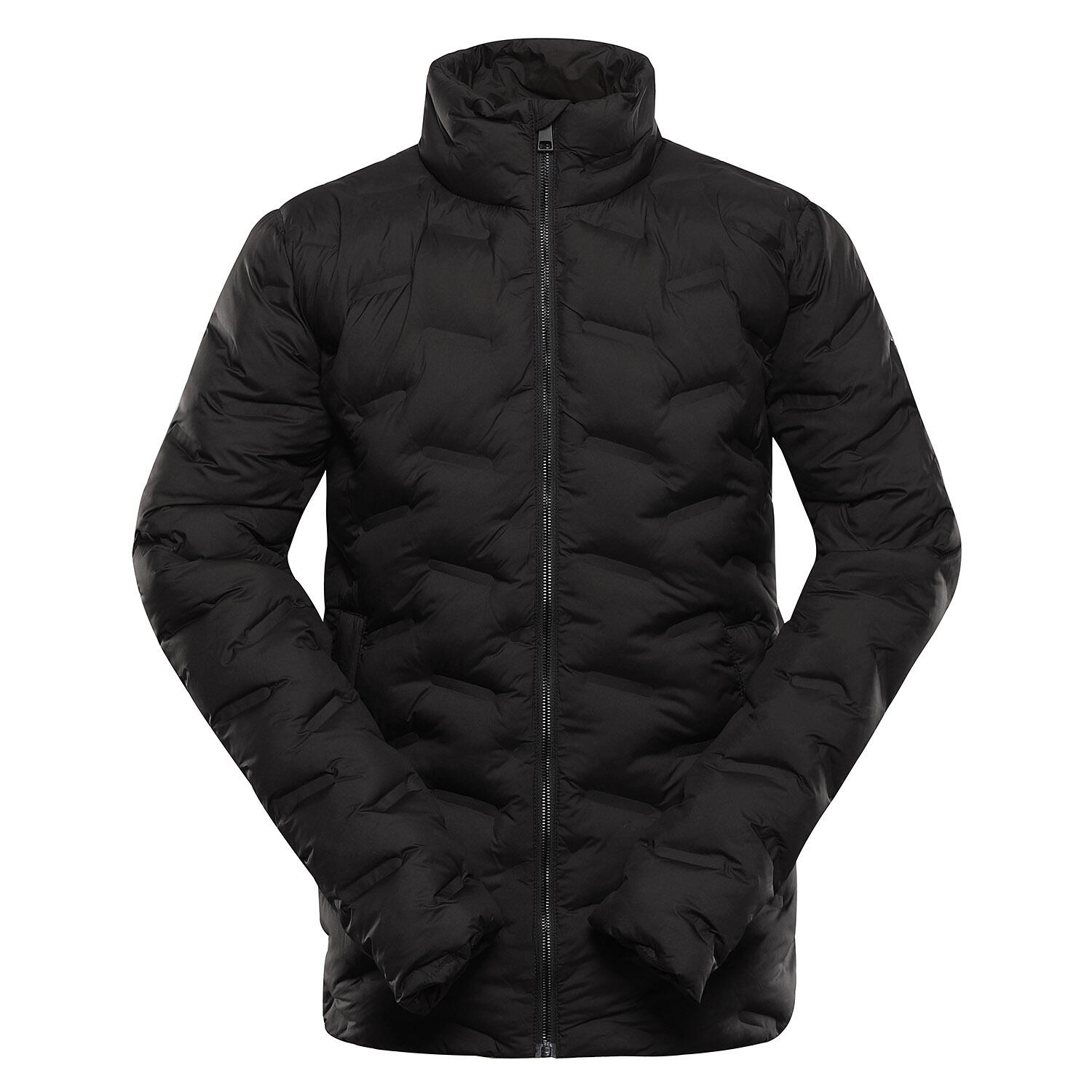 ALPINE PRO picture