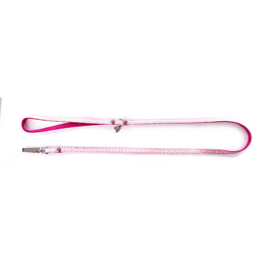 Laisse pour chien pois Martin Sellier S