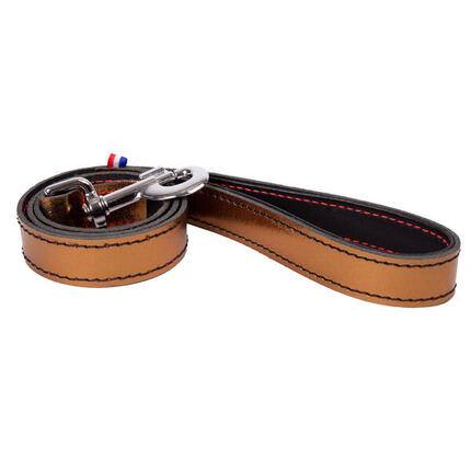 Laisse pour chien Martin Sellier Dakota