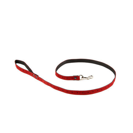 Laisse pour chien Martin Sellier S