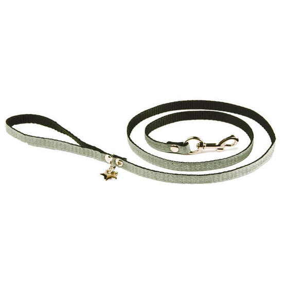 Laisse pour chien Martin Sellier XS