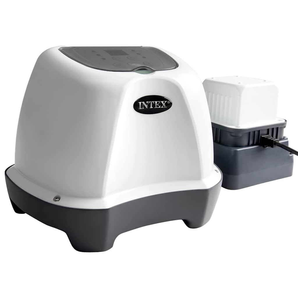 INTEX picture