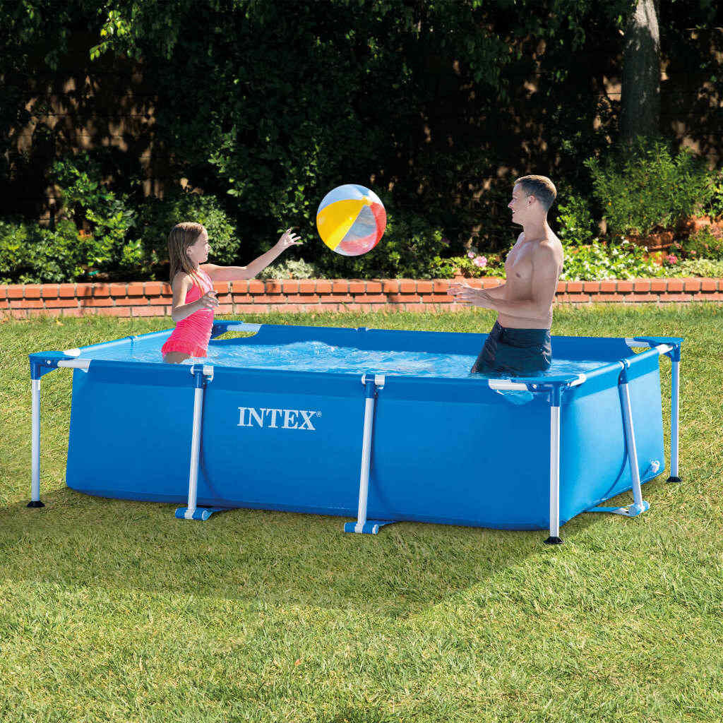 INTEX picture