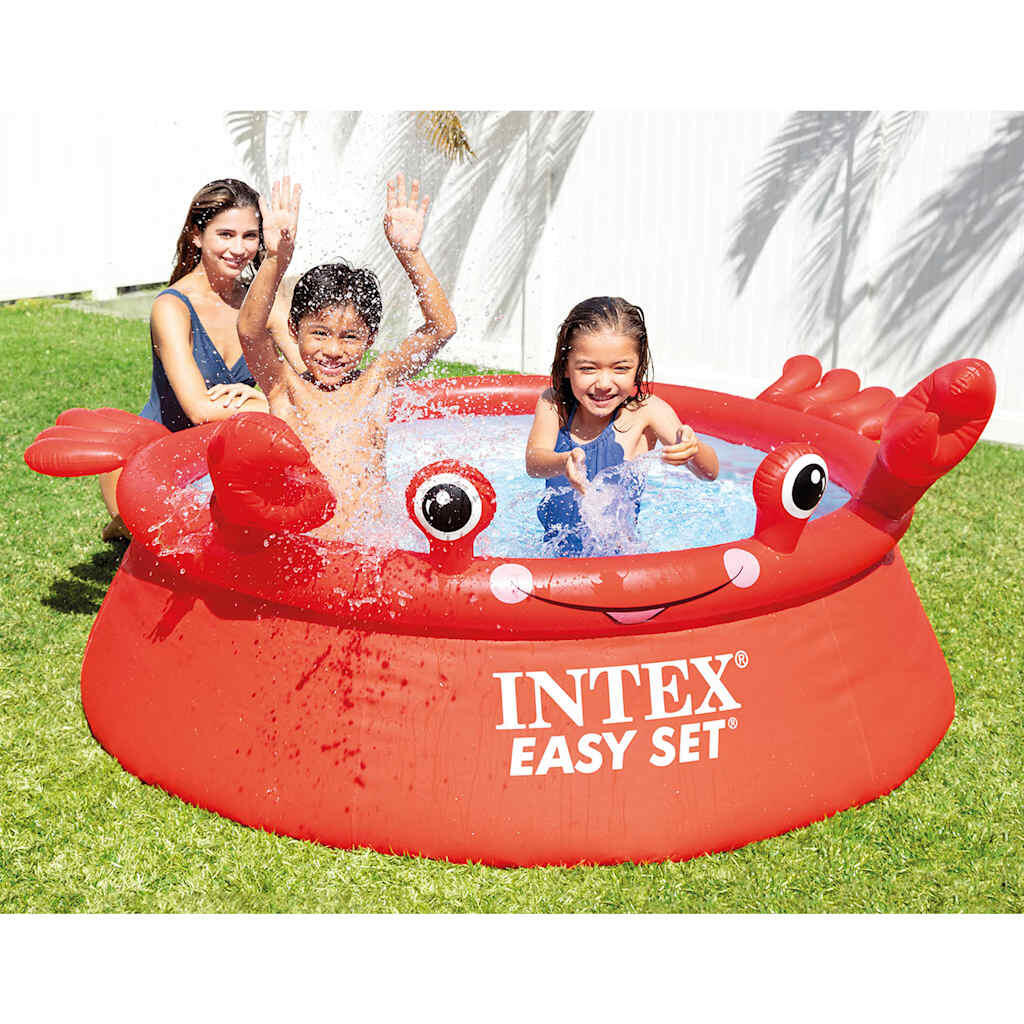INTEX picture