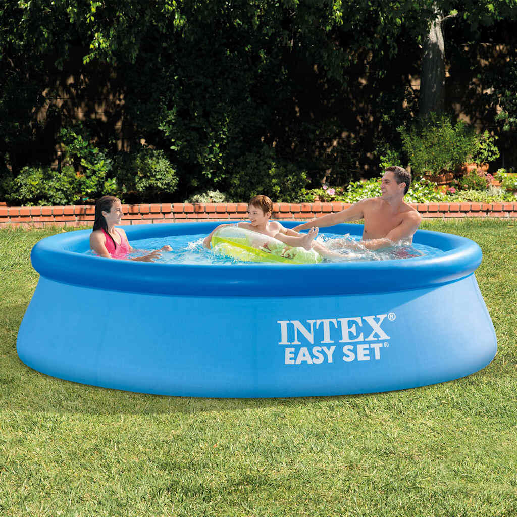 INTEX picture