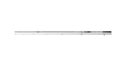 Daiwa Raubfischrute Exceler Solidtip Spin