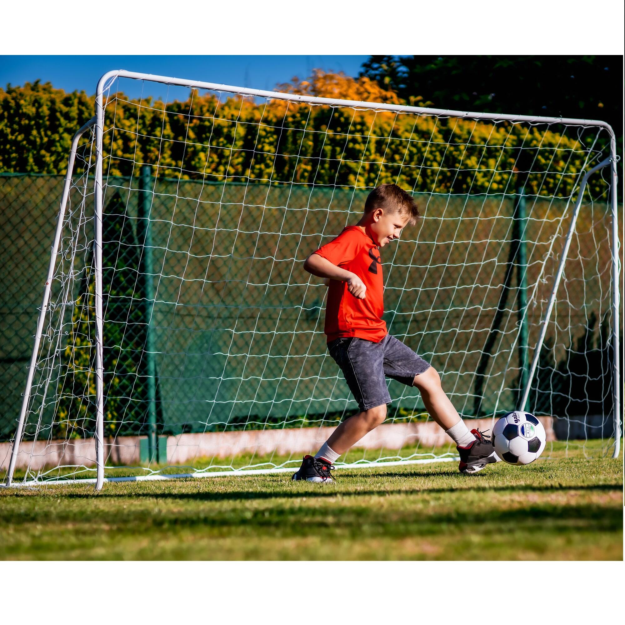 Fußballtor MASTER 290 x 165 x 90 cm 3/3