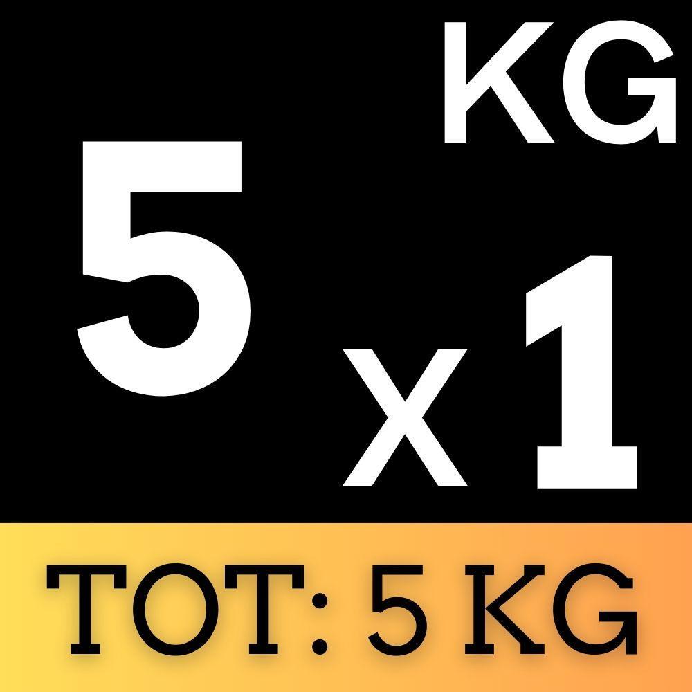 Disco Olimpionico Bumper Gommato 5 KG Foro 50 mm Pesi Palestra 2/7