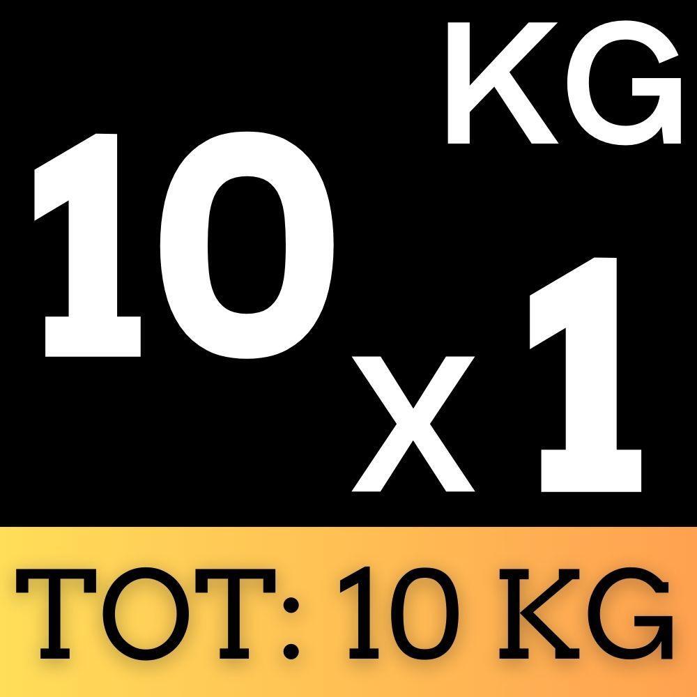 Disco Olimpionico Bumper Gommato 10 KG Foro 50 mm Pesi Palestra 2/7
