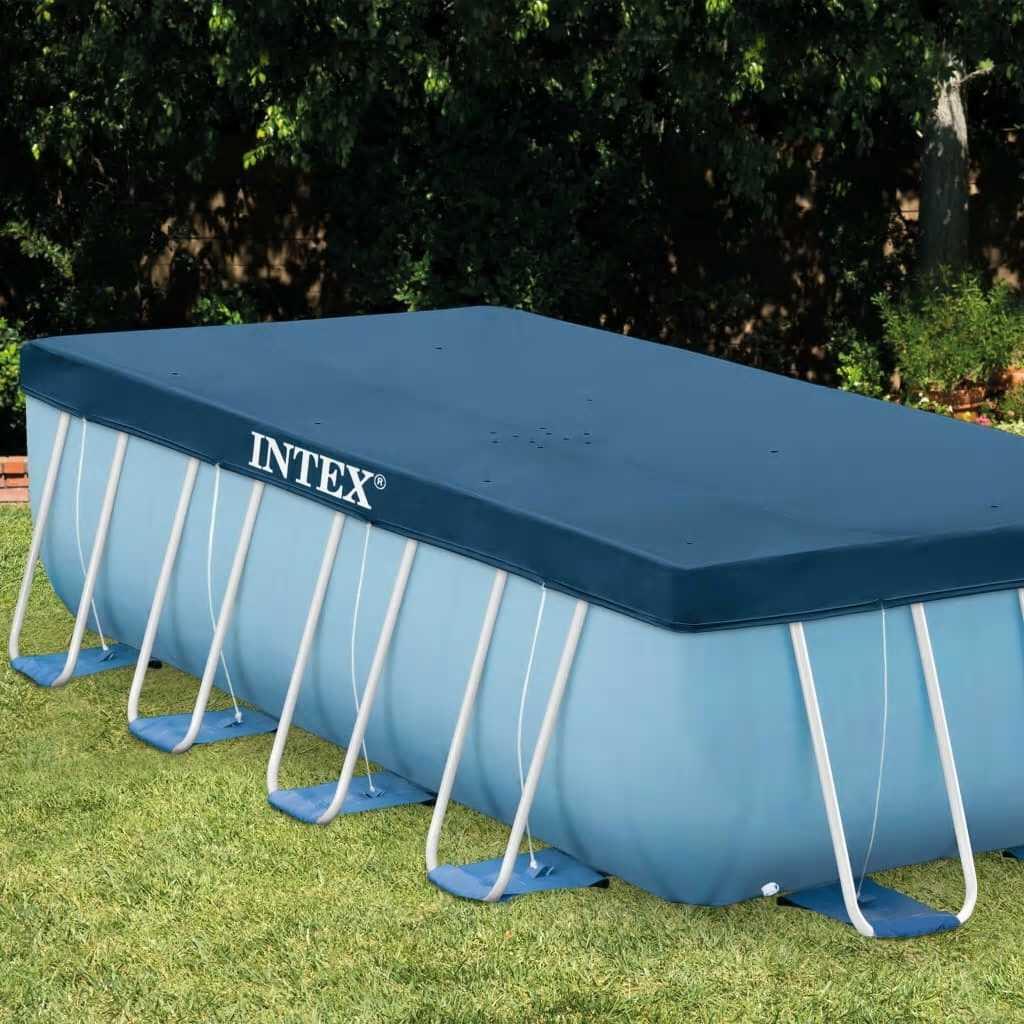 INTEX picture
