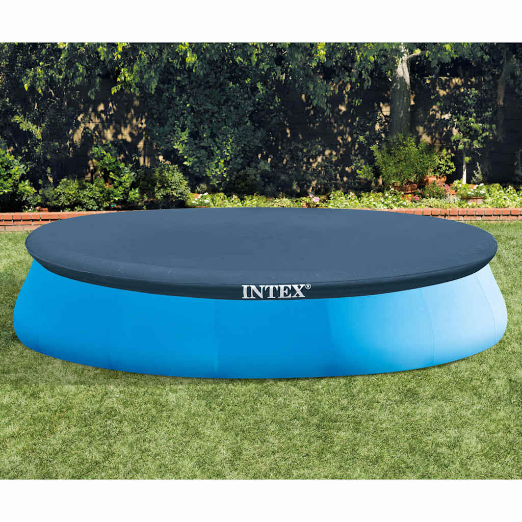 INTEX picture