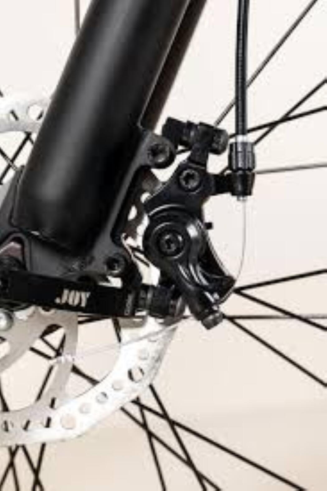 Goblin Kinder E-Bike mit Pedalelektronik MTB 24" 2/4
