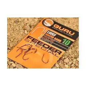 GURU picture