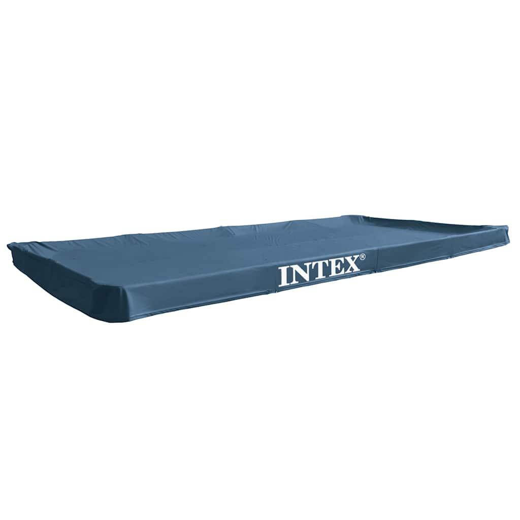 INTEX picture