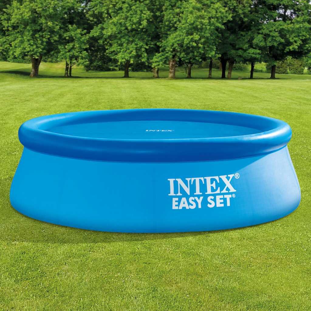INTEX picture