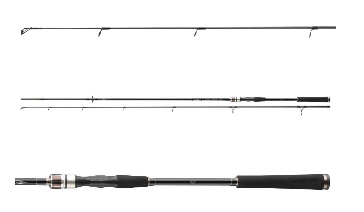 LANSETA DAIWA EXCELER SPIN 2,70M/10-40G