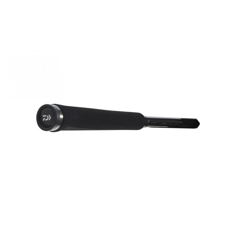 LANSETA DAIWA EXCELER SPIN 2,70M/10-40G
