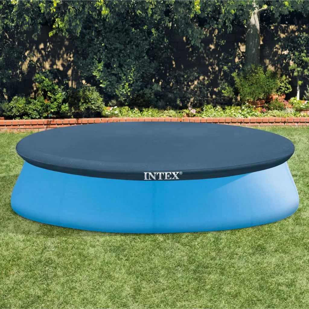 INTEX picture