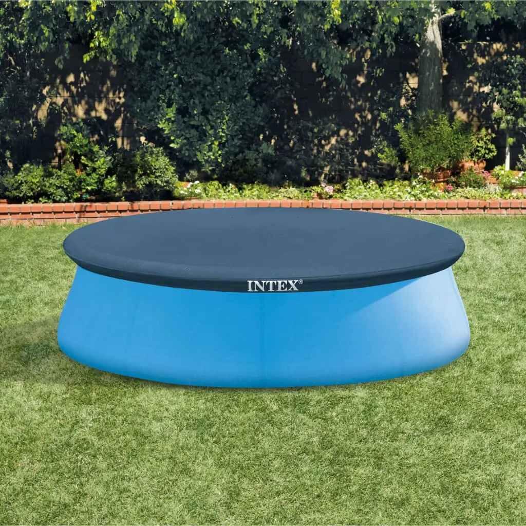INTEX picture