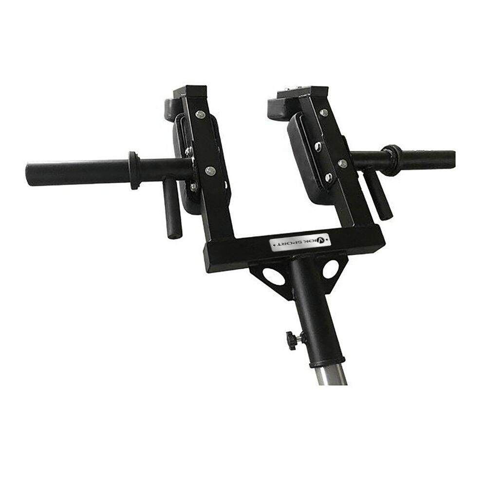 VIOK SPORT picture