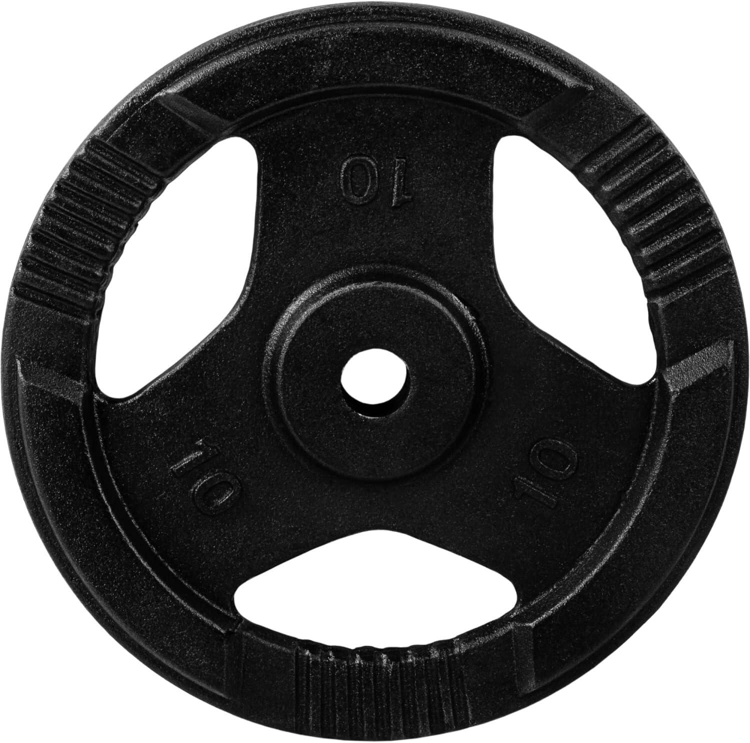 Disques de musculation 2x10kg  30/31 mm en fonte avec poignées 4/5