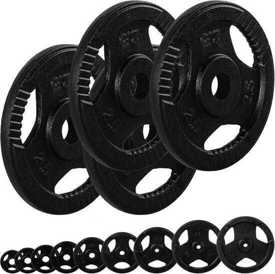 Hantelscheiben Set 30/31 mm Gusseisen Gripper 10 KG (4 x 2.5 KG)