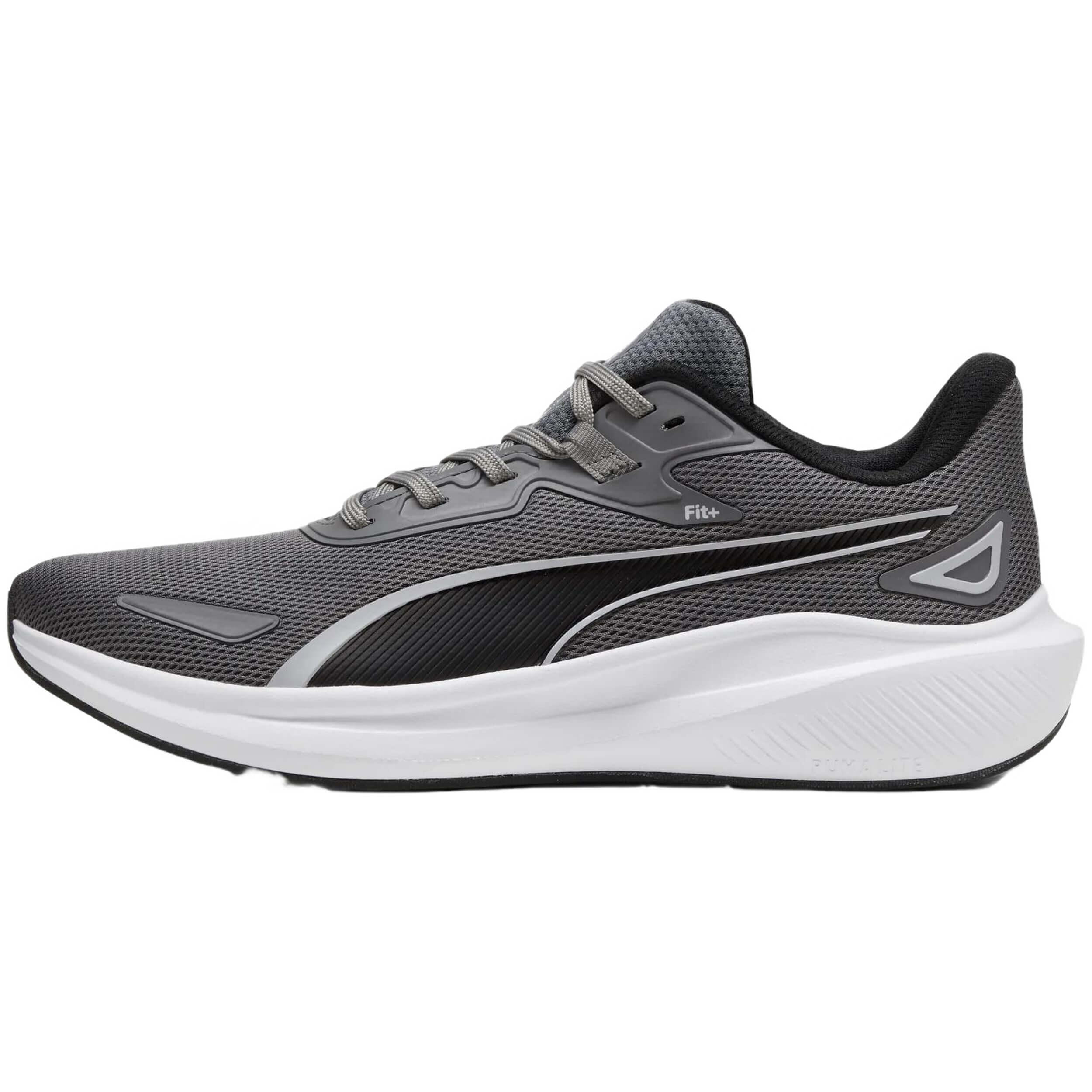 PUMA picture