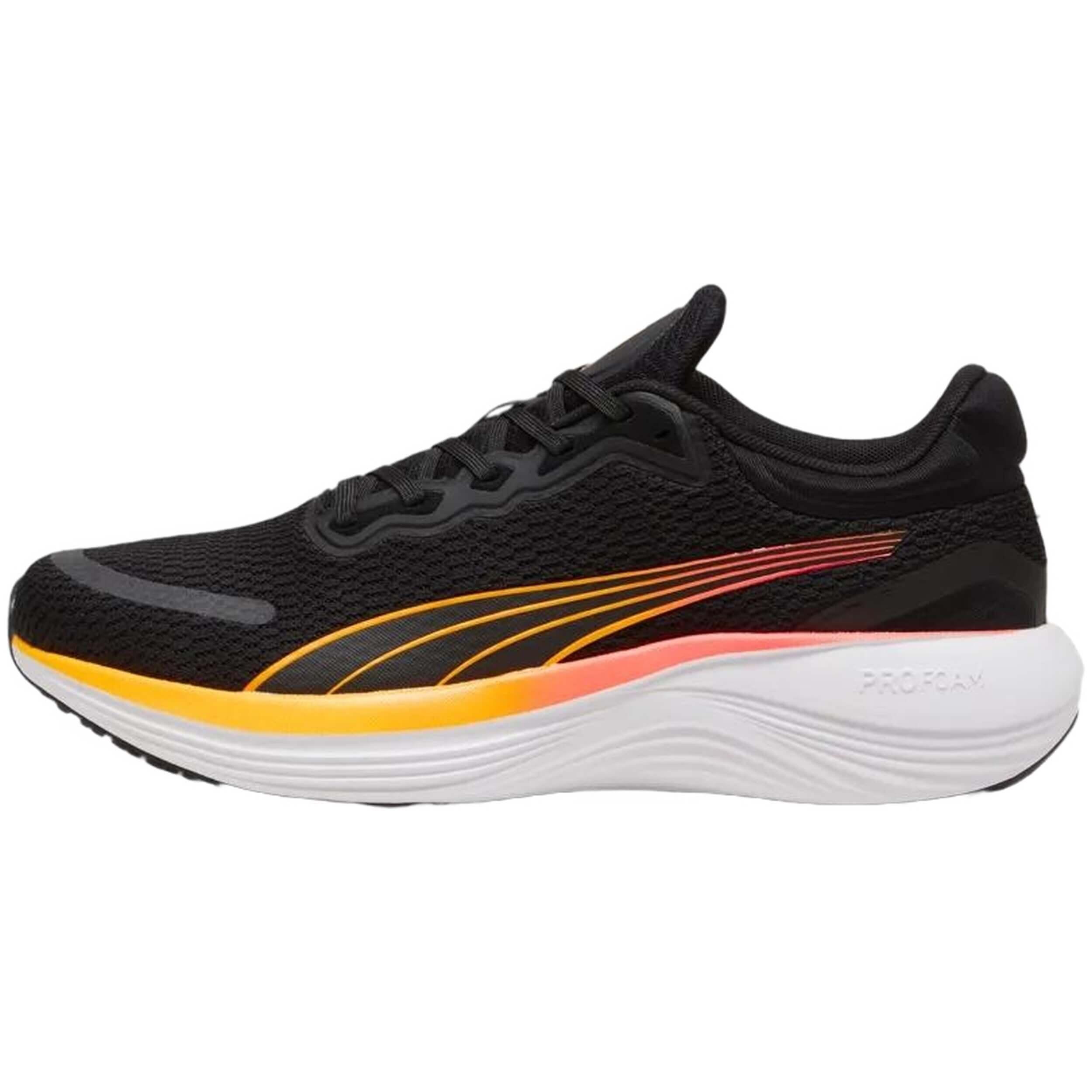 PUMA picture