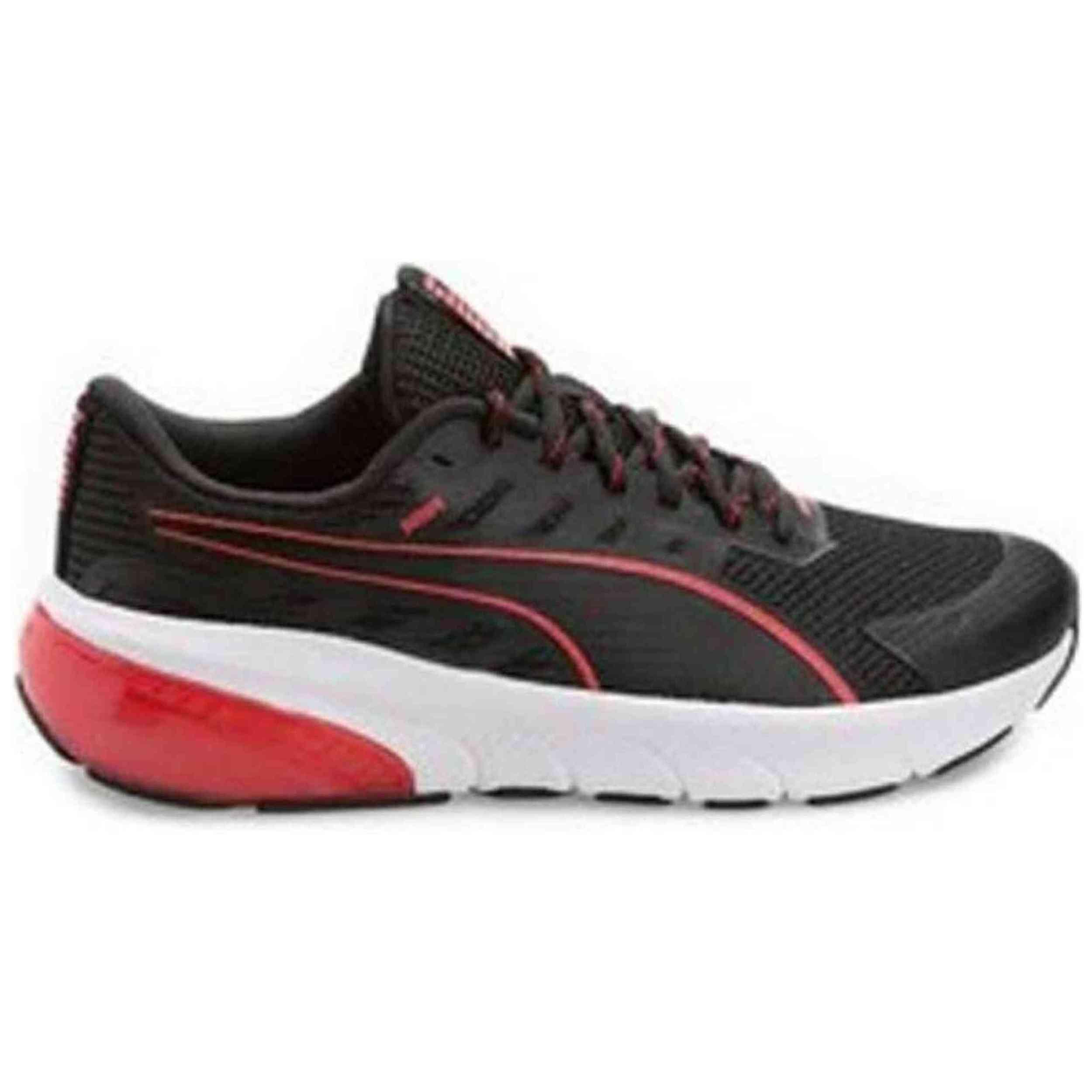PUMA picture