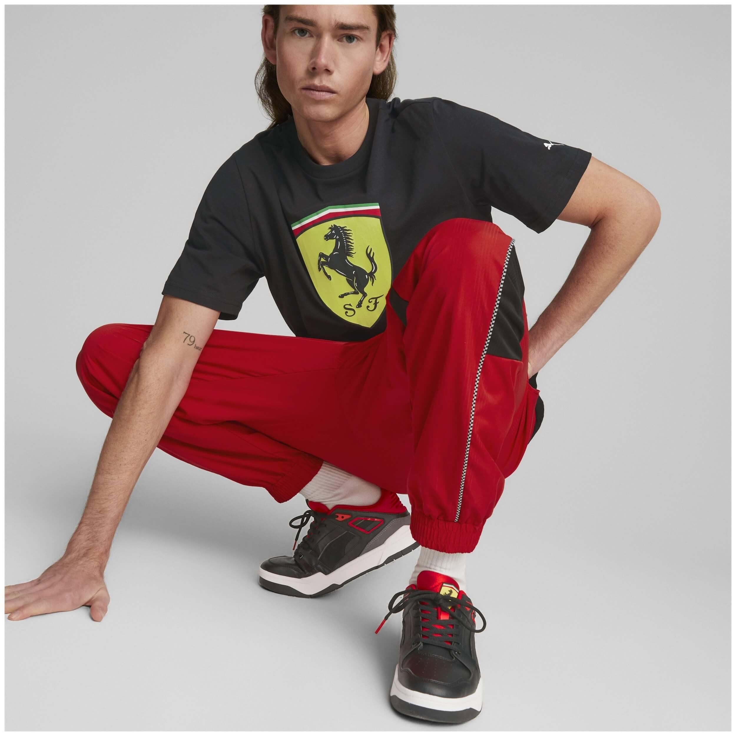 PUMA picture