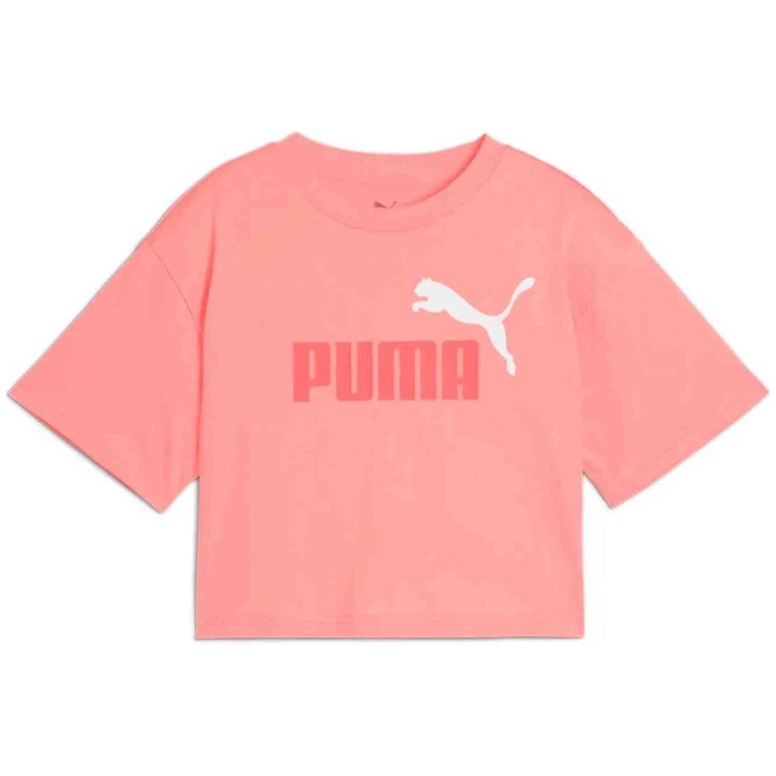 PUMA picture