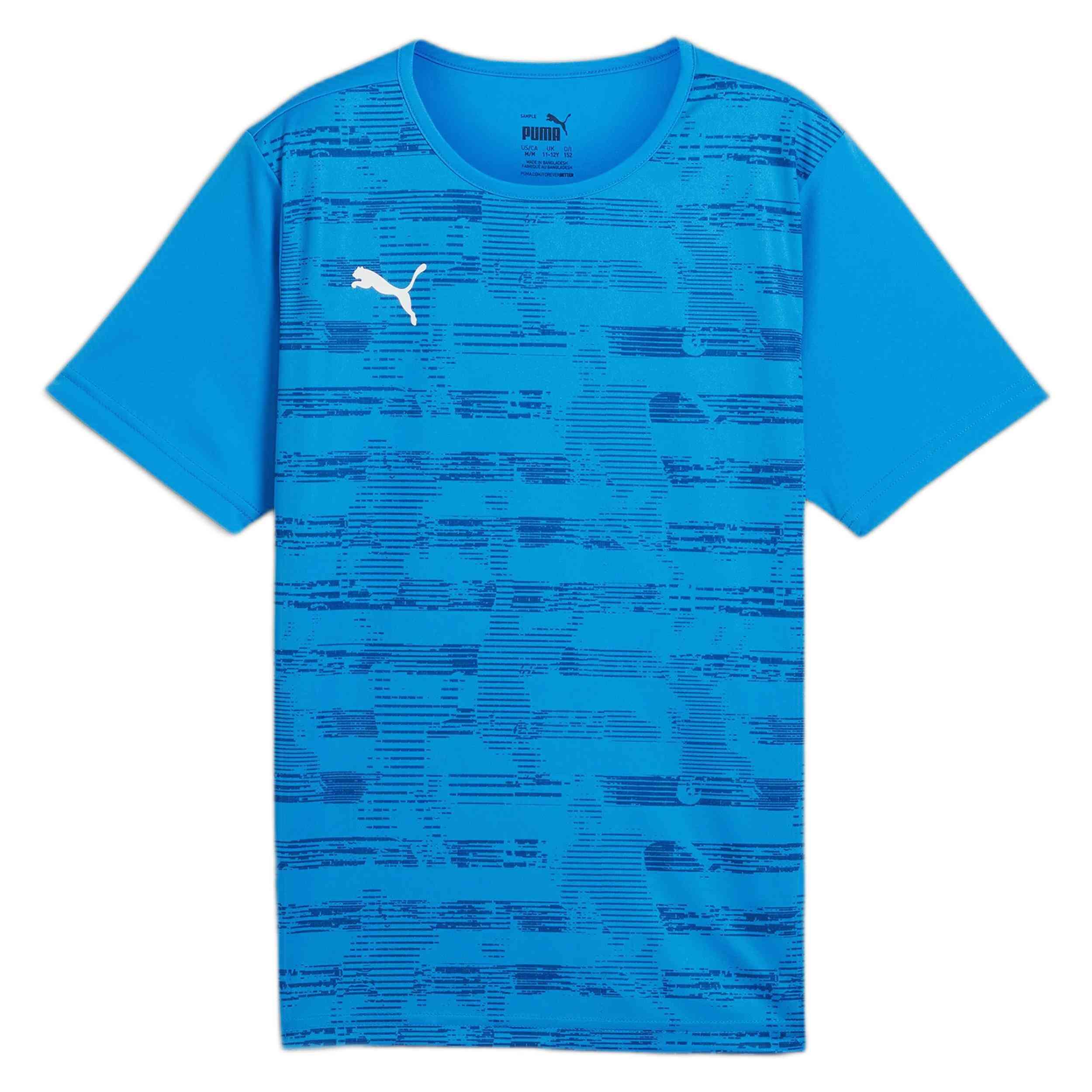 PUMA picture