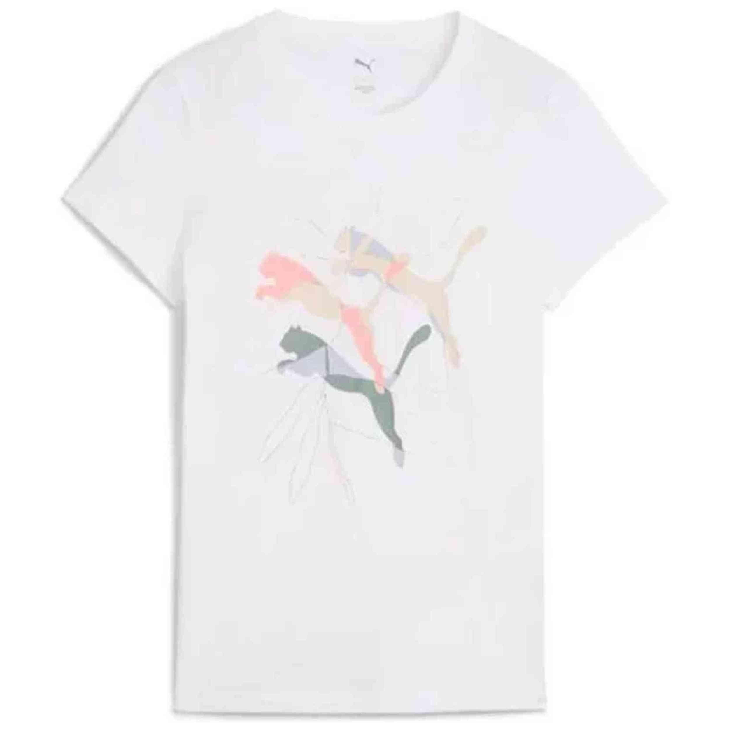 PUMA picture