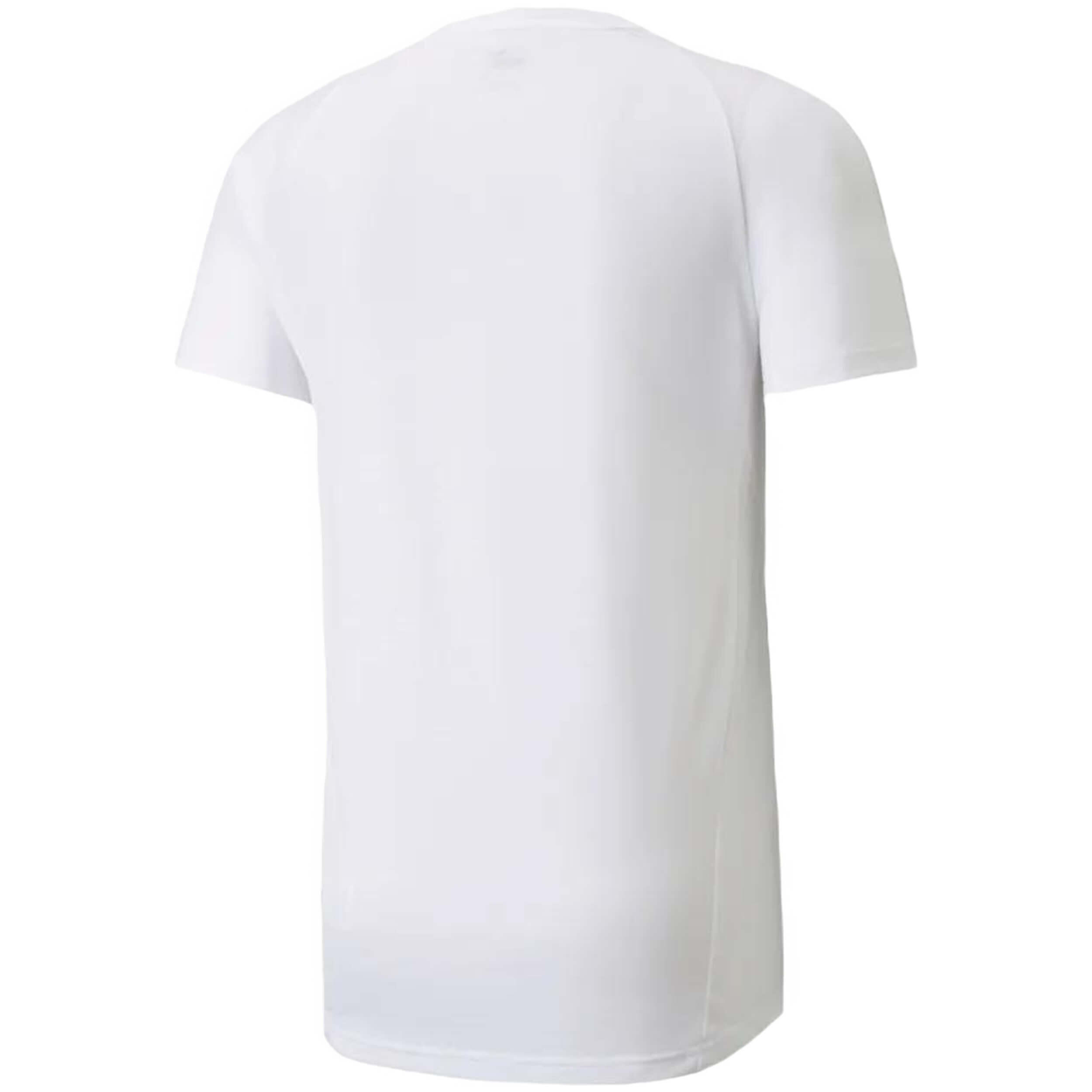 T-shirt Puma modèle 589417-02 pour homme 2/2