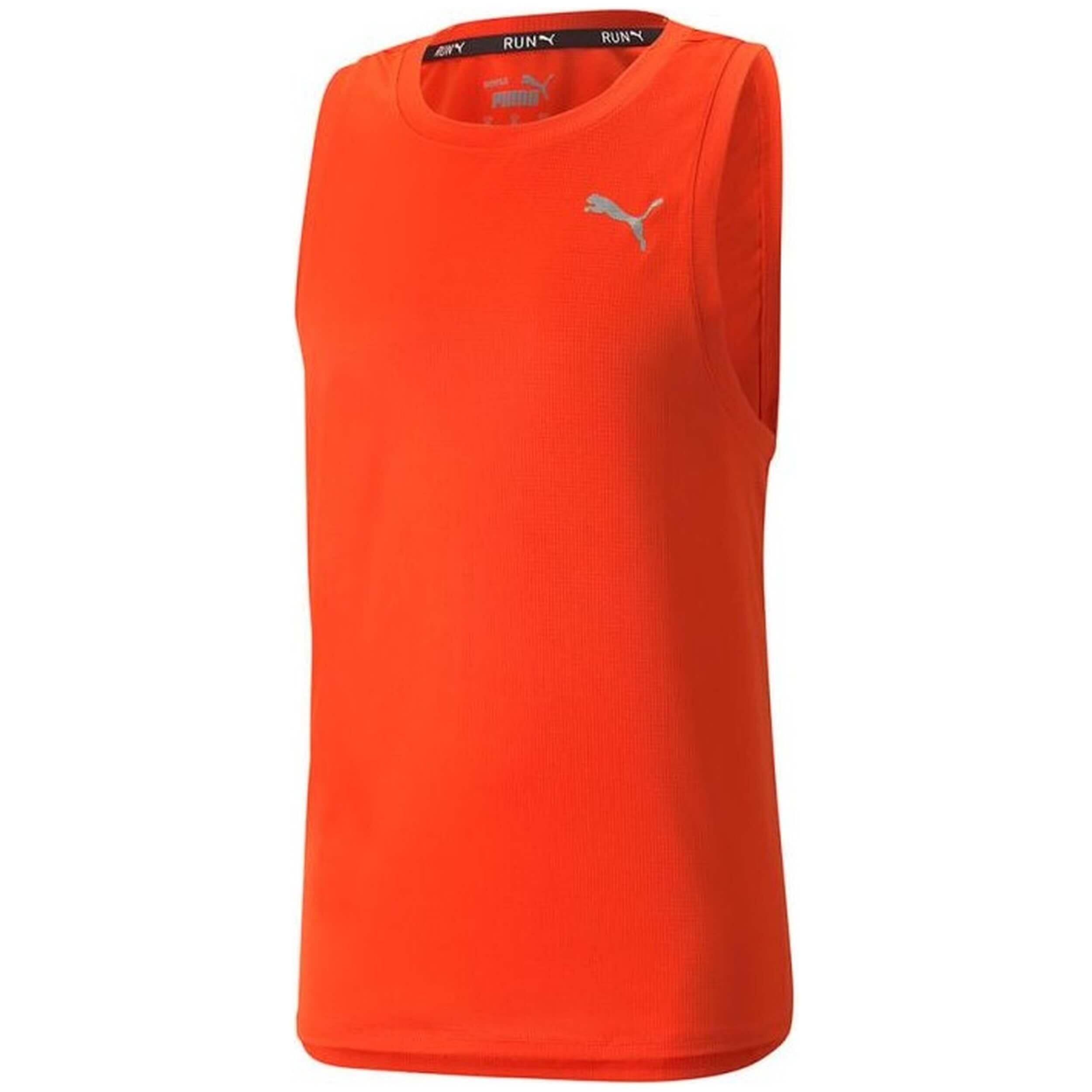 PUMA picture