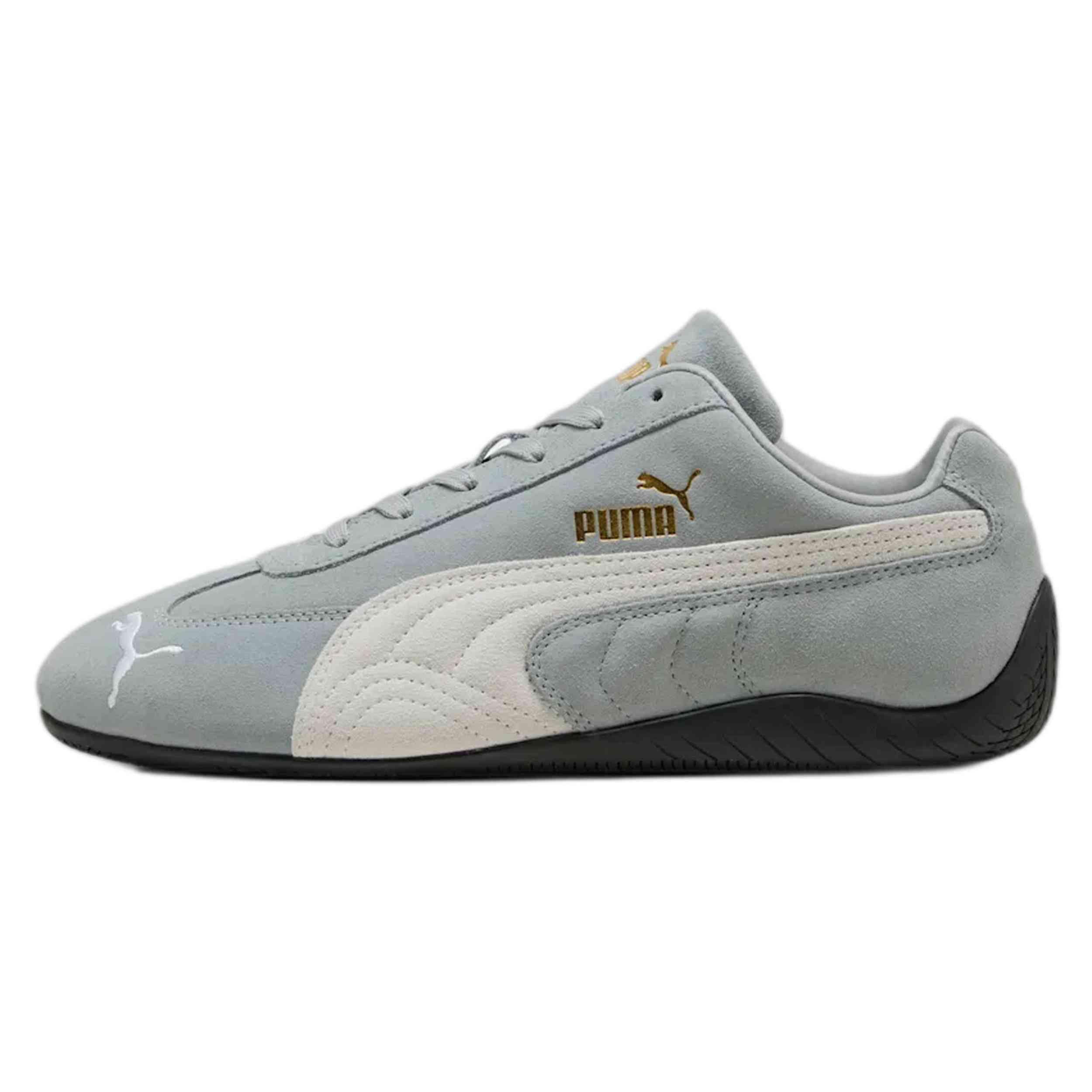 PUMA picture