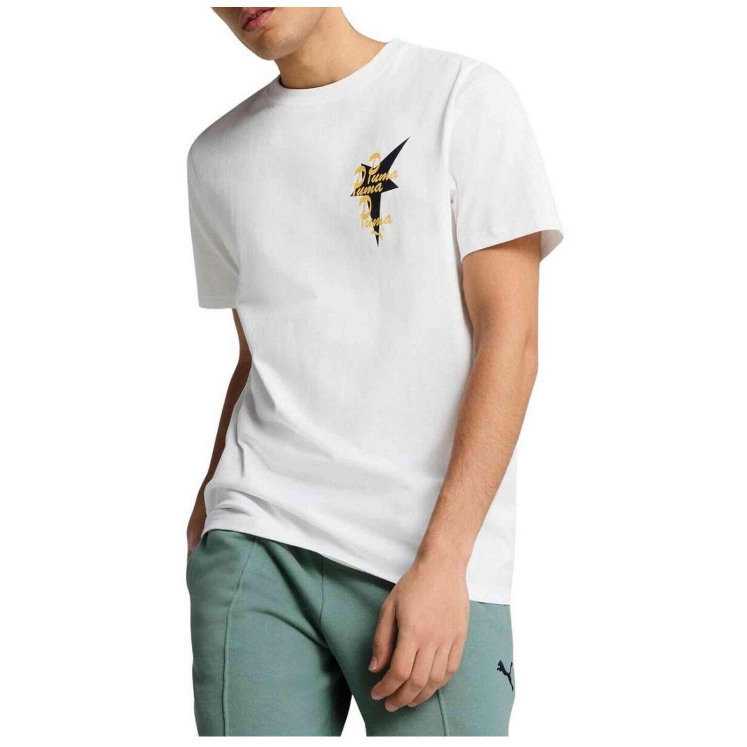 PUMA picture