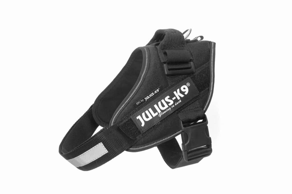 JULIUS-K9 picture