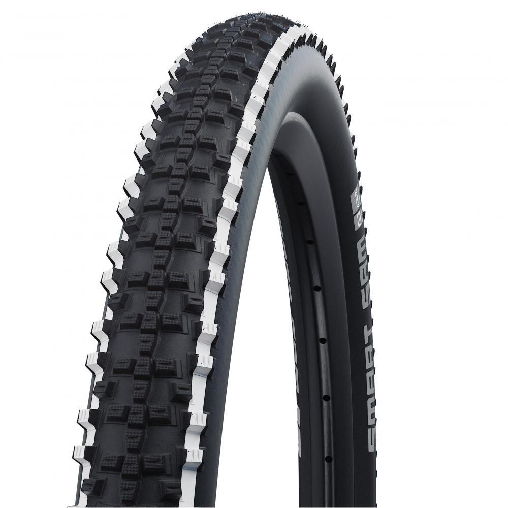 SCHWALBE picture
