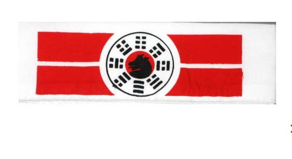 Hakimaki Pa Kua Armura