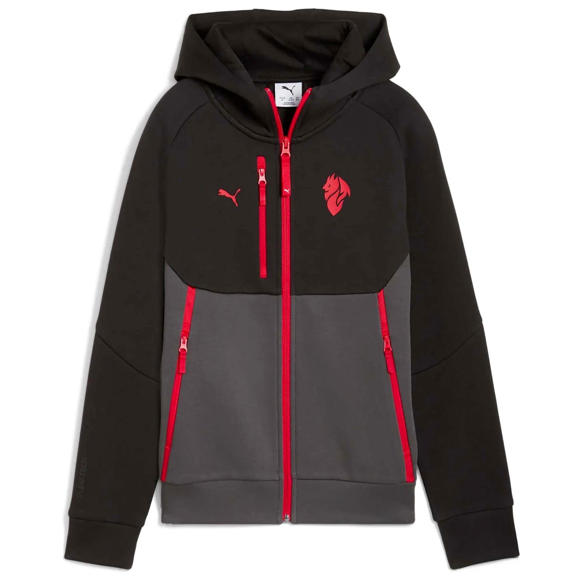 PUMA picture