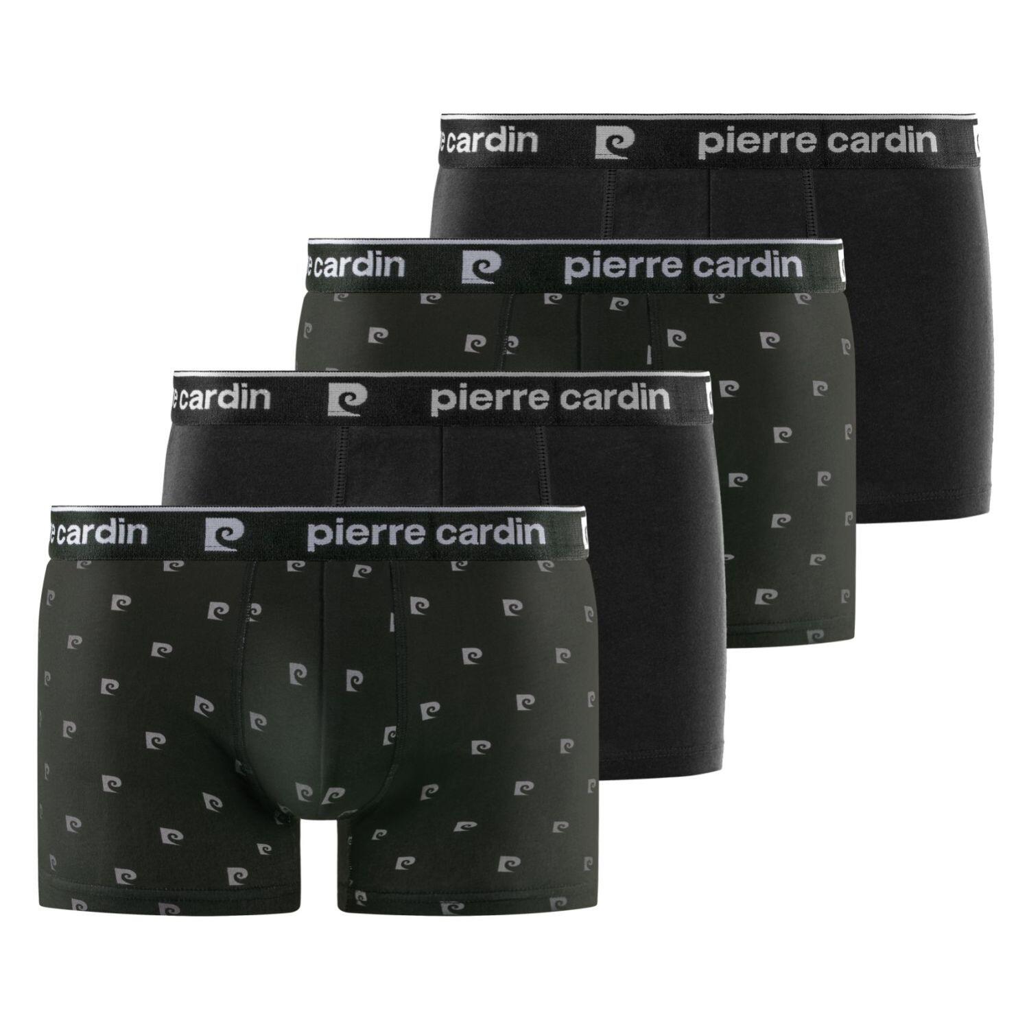 PIERRE CARDIN picture